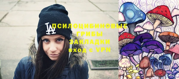 сатива Осташков