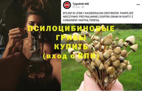 mix Осинники