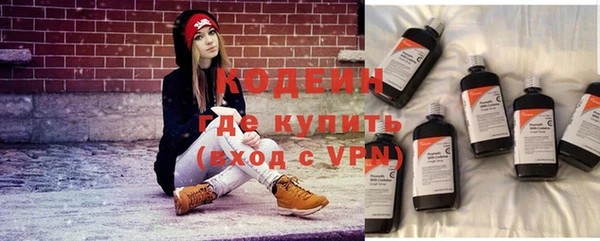 сатива Осташков