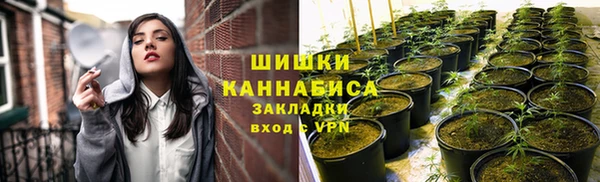 сатива Осташков