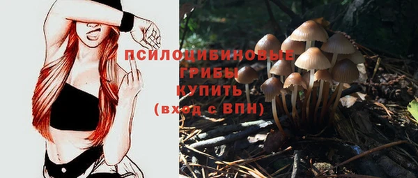 сатива Осташков