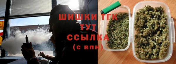 сатива Осташков