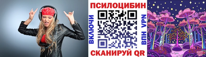 Купить где  Котово  Галлюциногенные грибы Psilocybe 